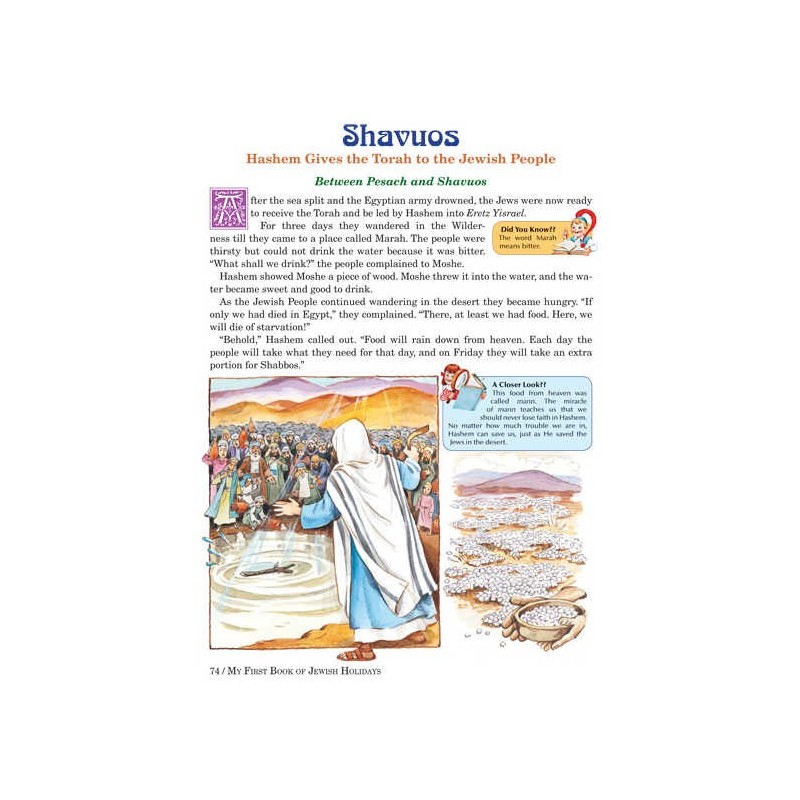 My First Book Of Jewish Holidays - Hardcover | Books | Judaica