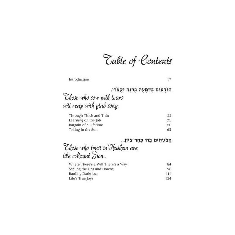 Mountain Climbers 2 - Hardcover | Books | Judaica
