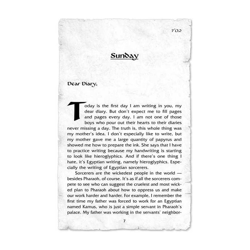 My Last Year in Mitzrayim | Books | Judaica