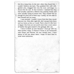 My Last Year in Mitzrayim | Books | Judaica