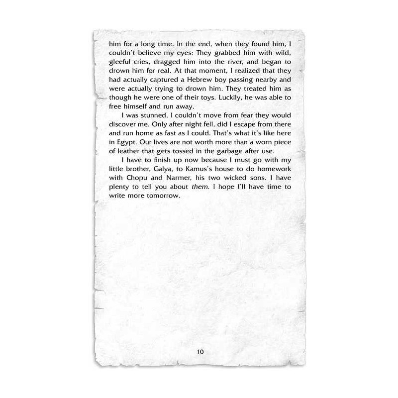 My Last Year in Mitzrayim | Books | Judaica