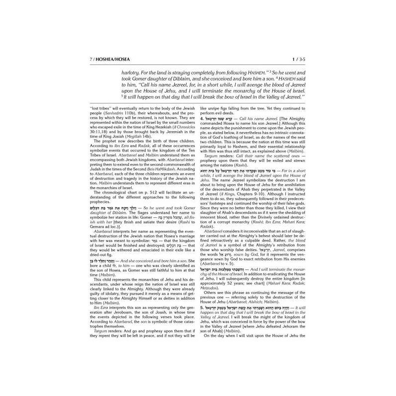 Milstein Edition of the Later Prophets: The Twelve | Books | Judaica