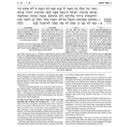 Milstein Edition of the Later Prophets: The Twelve | Books | Judaica