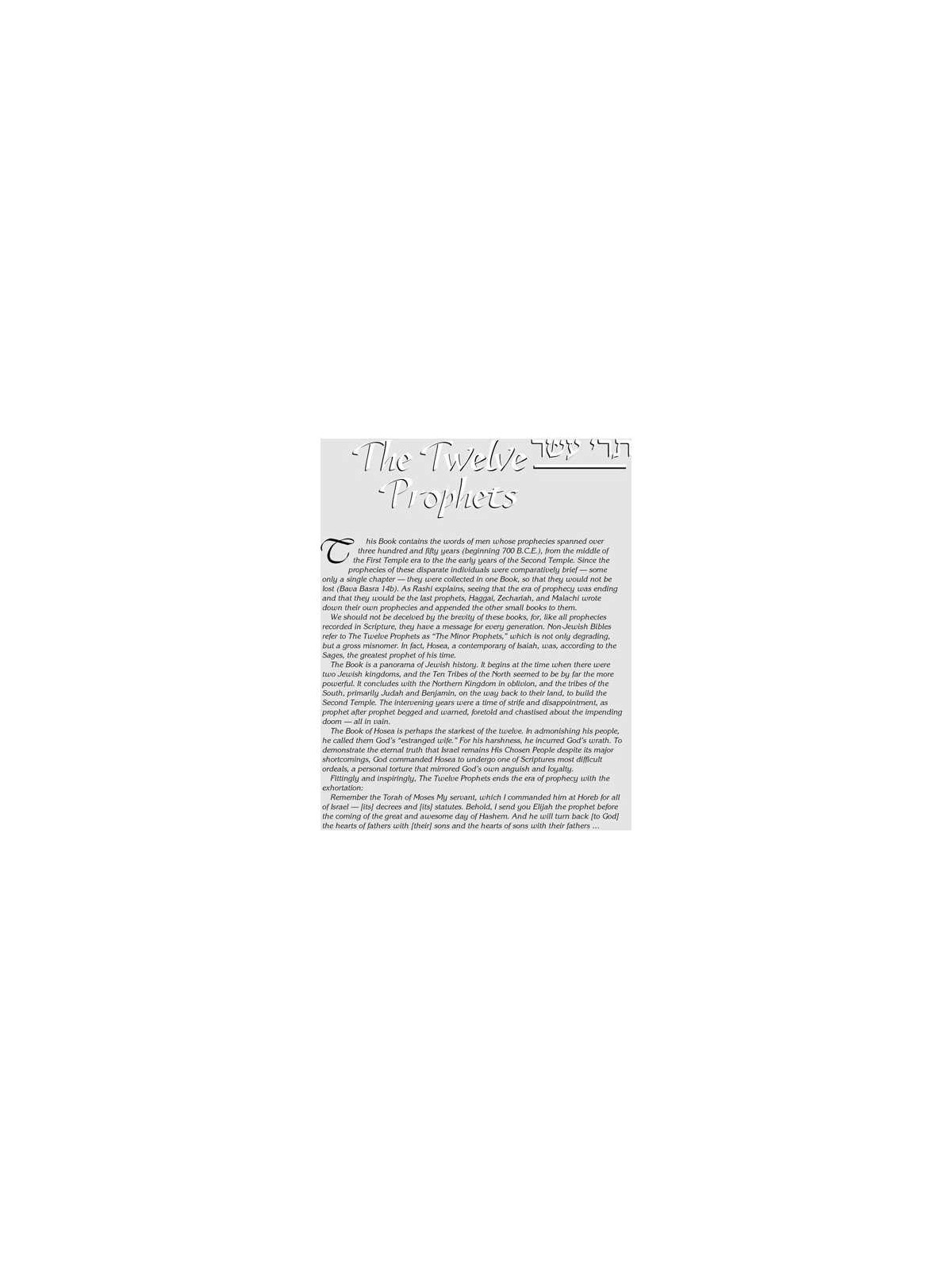 Milstein Edition of the Later Prophets Pocket Size | Books | Judaica