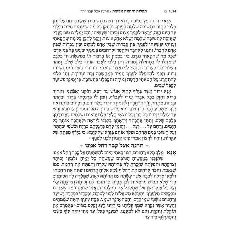 Wasserman Ed Hebrew/English Siddur Ashkenaz Pocket | Books | Judaica