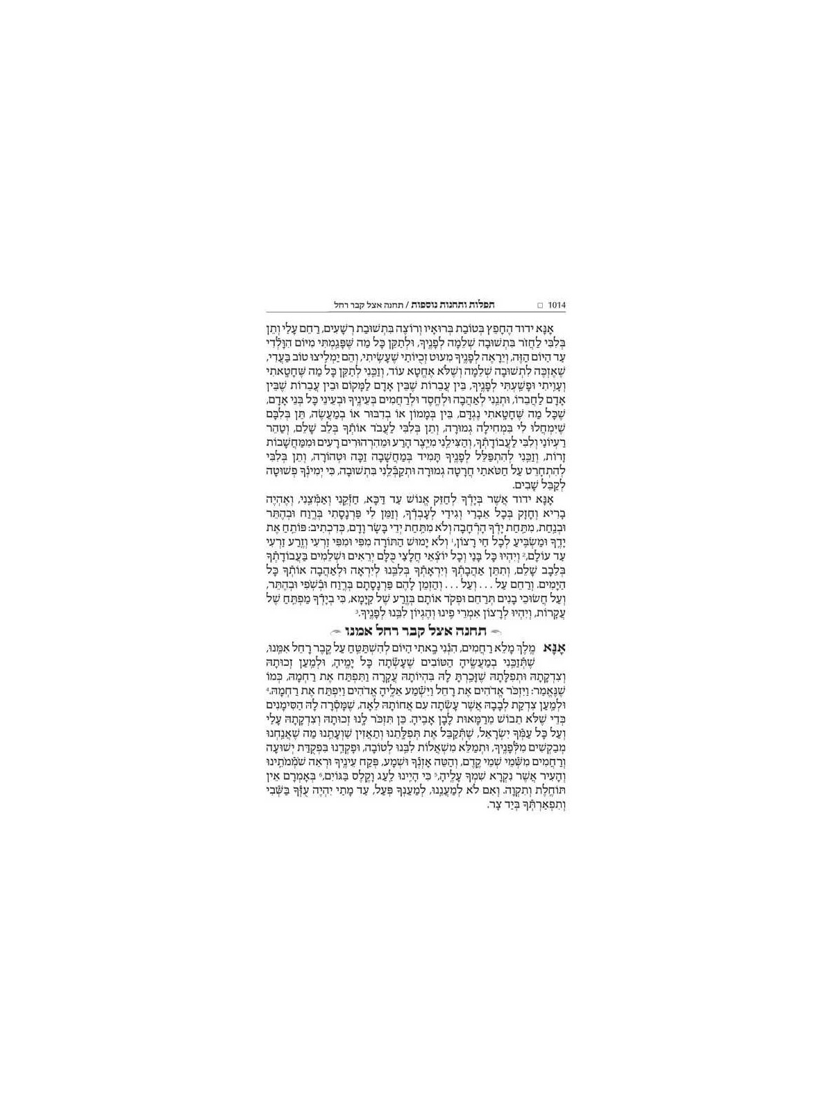 Wasserman Ed Hebrew/English Siddur Ashkenaz Pocket | Books | Judaica