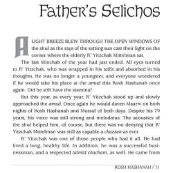 Once Upon A Holiday Story - Hardcover | Books | Judaica