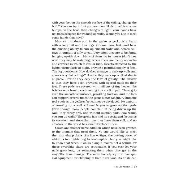 Our Wondrous World - Hardcover | Books | Judaica