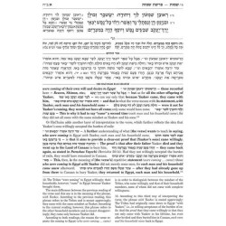 Or HaChaim Shemos/Exodus Vol. 2: Mishpatim  Pek | Books | Judaica