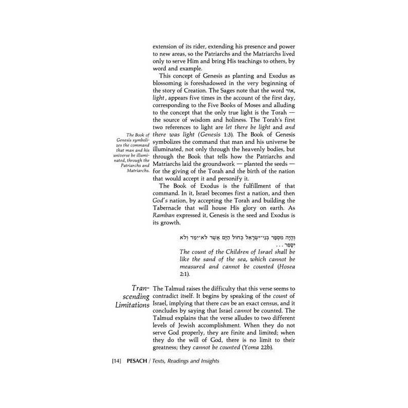 Pesach [Holiday Series] Hardcover | Books | Judaica