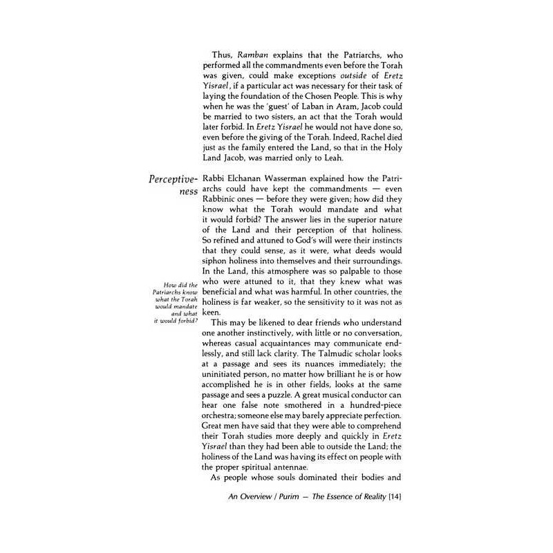 Purim [Holiday Series] Hardcover | Books | Judaica