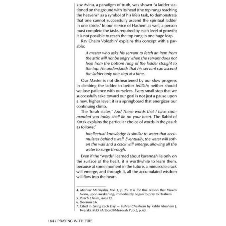 Praying with Fire - Hardcover | Books | Judaica