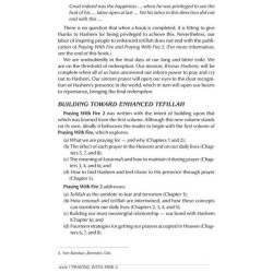 Praying with Fire Volume 2 - Paperback | Books | Judaica