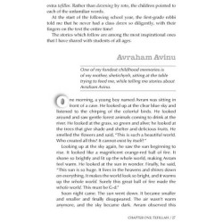 Precious Jewels - Hardcover | Books | Judaica