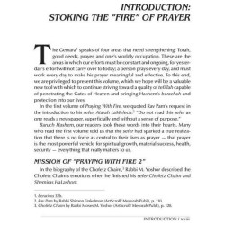 Praying with Fire Volume 2 - Hardcover | Books | Judaica