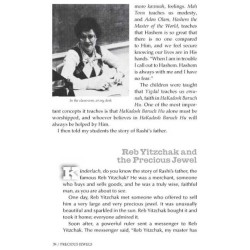 Precious Jewels - Paperback | Books | Judaica