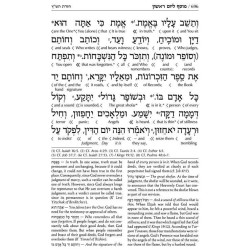 Pocket Interlinear Machzor 2 Volume Slipcased Set  | Books | Judaica