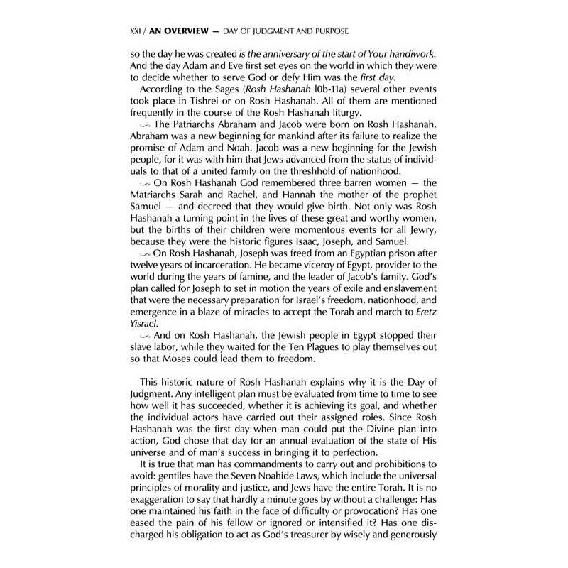 Pocket Interlinear Machzor 2 Volume Slipcased Set  | Books | Judaica