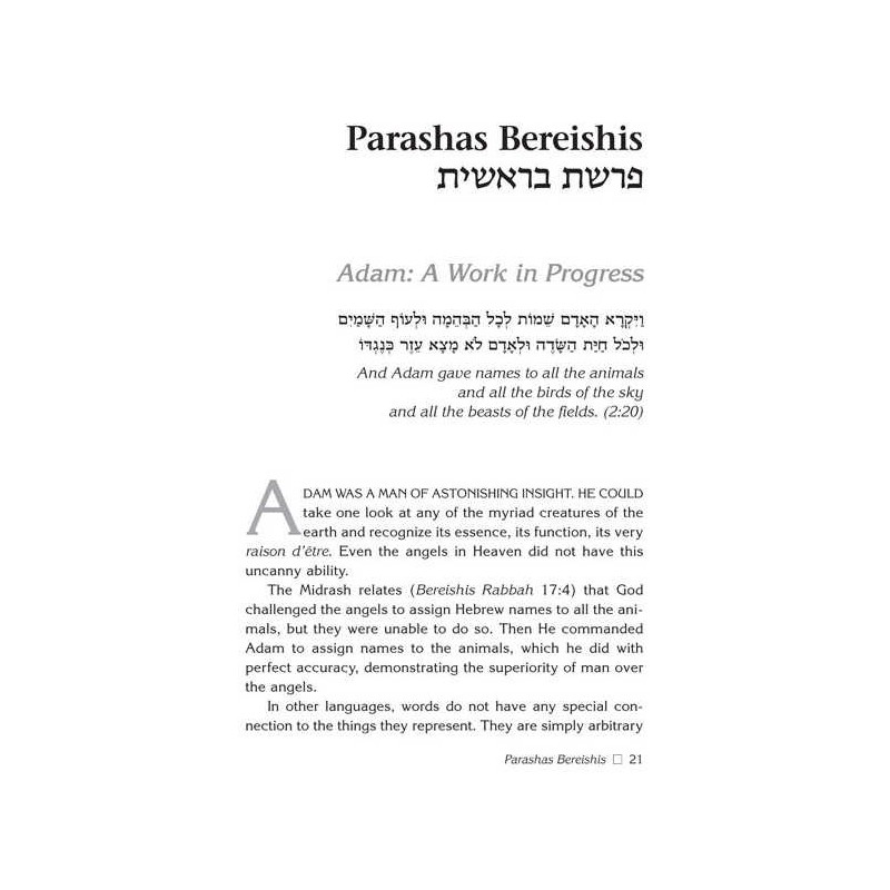 Rabbi Frand On the Parashah - Hardcover | Books | Judaica