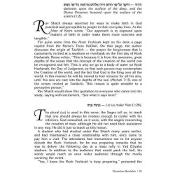 Rav Shach on Chumash - Hardcover | Books | Judaica