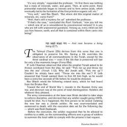 Rav Shach on Chumash - Hardcover | Books | Judaica