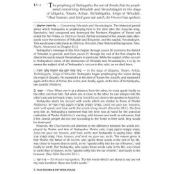 Rav Schwab on Yeshayahu - Hardcover | Books | Judaica