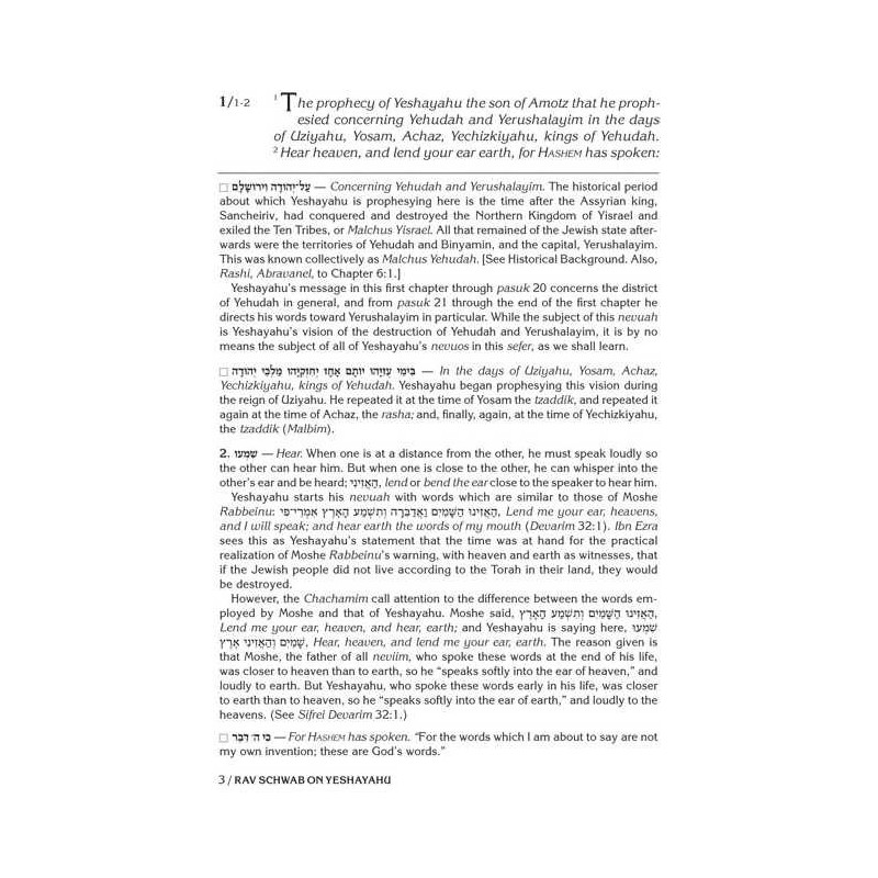 Rav Schwab on Yeshayahu - Hardcover | Books | Judaica