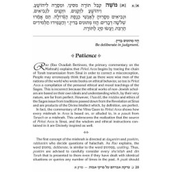 Rav Pam on Pirkei Avos | Books | Judaica