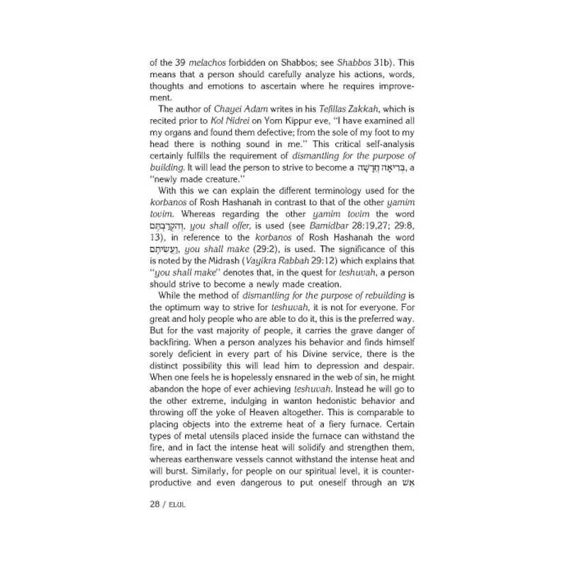 Rav Pam on the Festivals - Hardcover | Books | Judaica