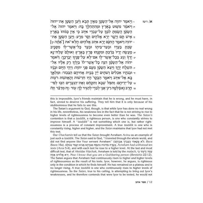 Rav Schwab on Iyov - Hardcover | Books | Judaica