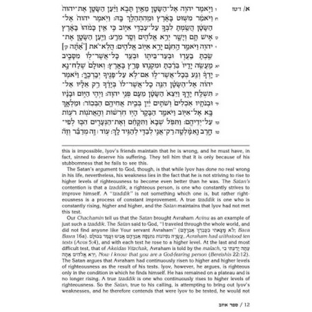 Rav Schwab on Iyov - Hardcover | Books | Judaica
