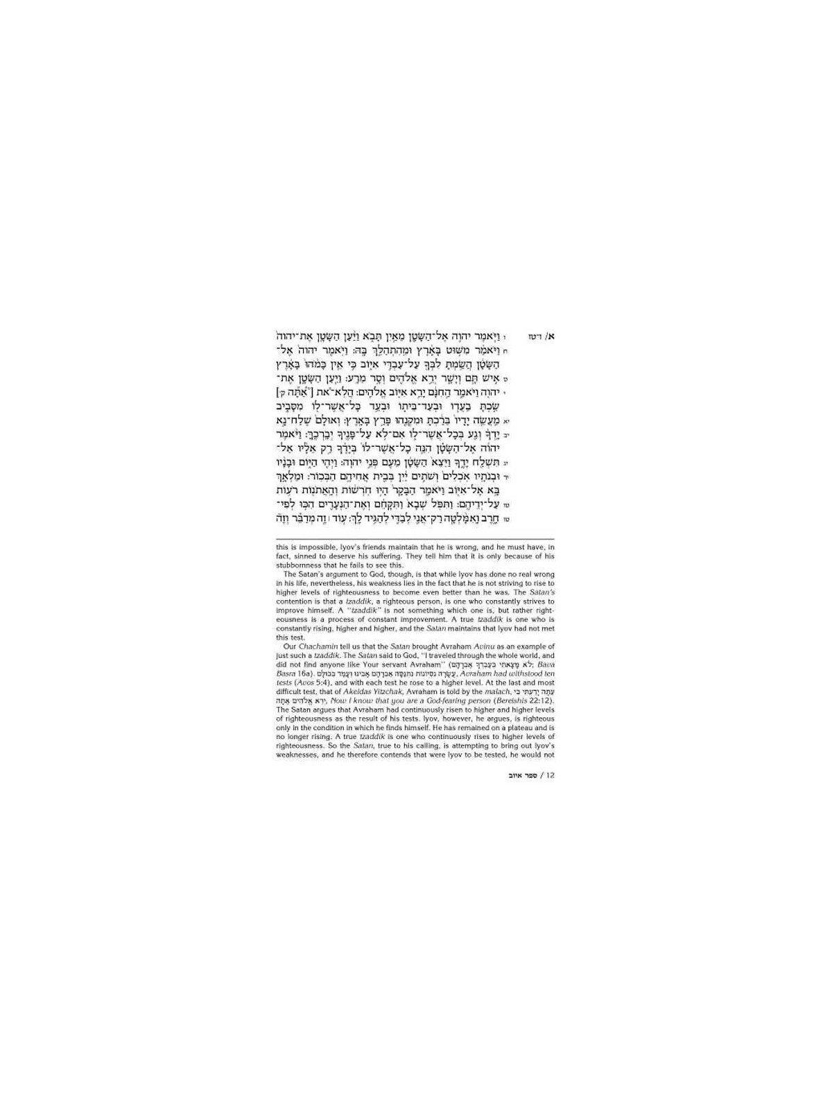 Rav Schwab on Iyov - Hardcover | Books | Judaica
