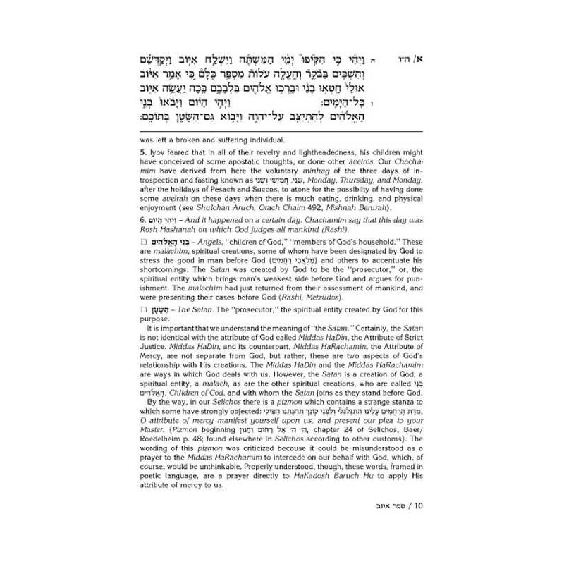 Rav Schwab on Iyov - Hardcover | Books | Judaica