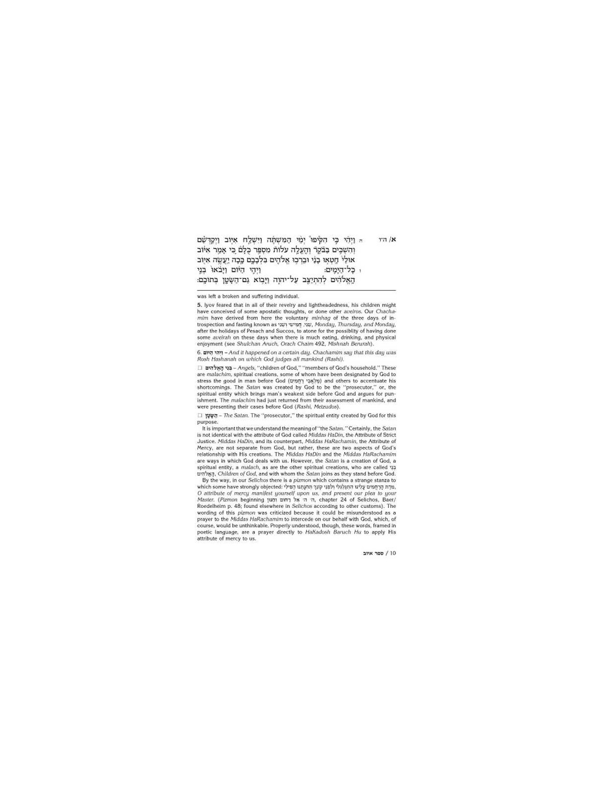 Rav Schwab on Iyov - Hardcover | Books | Judaica