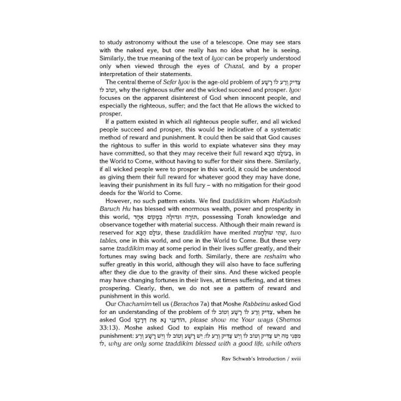 Rav Schwab on Iyov - Hardcover | Books | Judaica