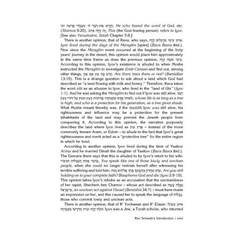 Rav Schwab on Iyov - Hardcover | Books | Judaica