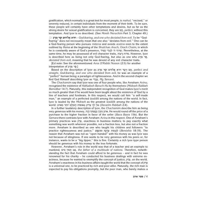 Rav Schwab on Iyov - Hardcover | Books | Judaica