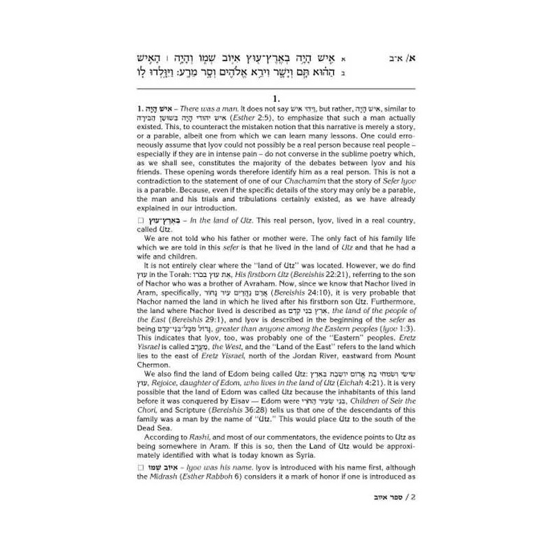 Rav Schwab on Iyov - Hardcover | Books | Judaica