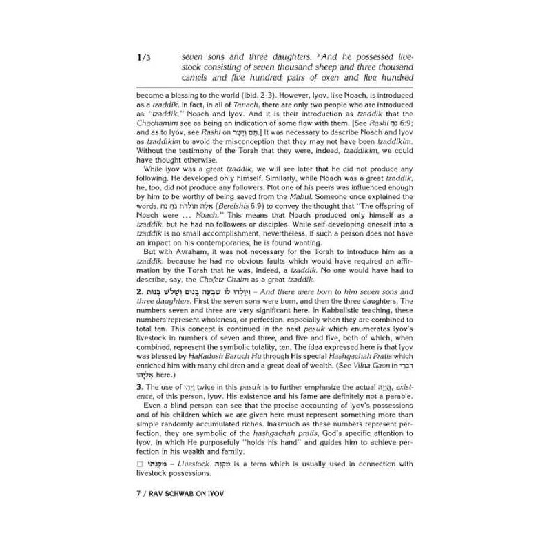 Rav Schwab on Iyov - Hardcover | Books | Judaica