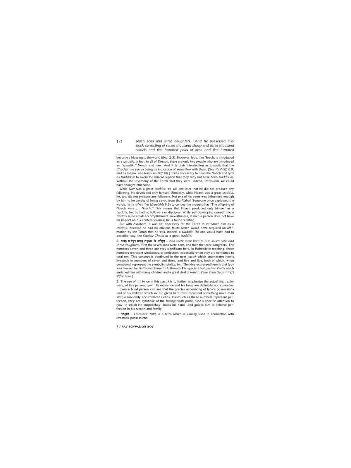 Rav Schwab on Iyov - Hardcover | Books | Judaica