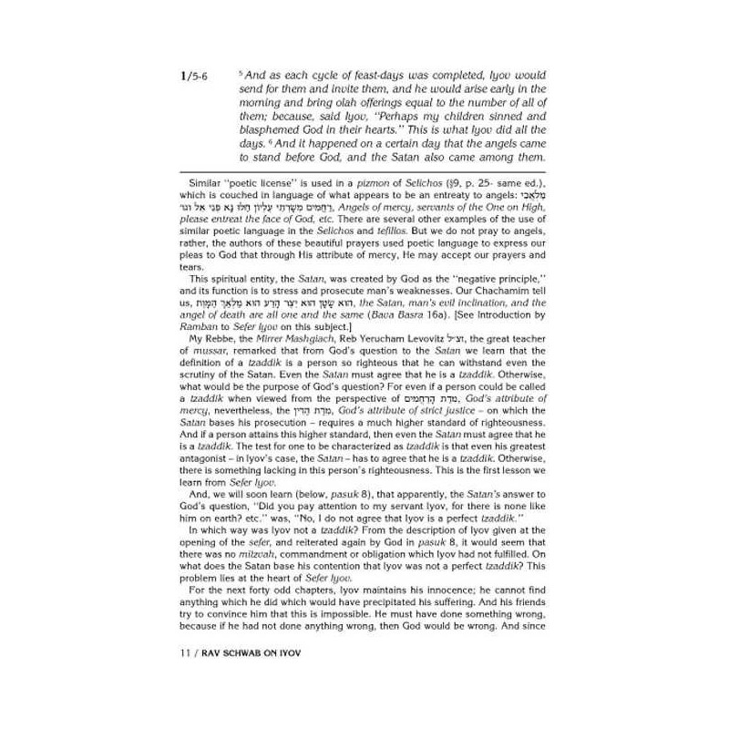 Rav Schwab on Iyov - Hardcover | Books | Judaica