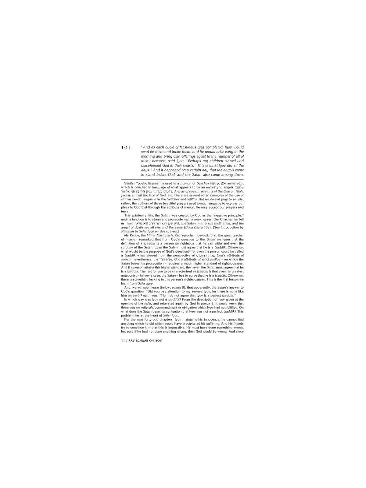 Rav Schwab on Iyov - Hardcover | Books | Judaica