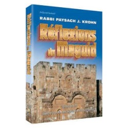 Reflections of the Maggid - French Edition | Books | Judaica