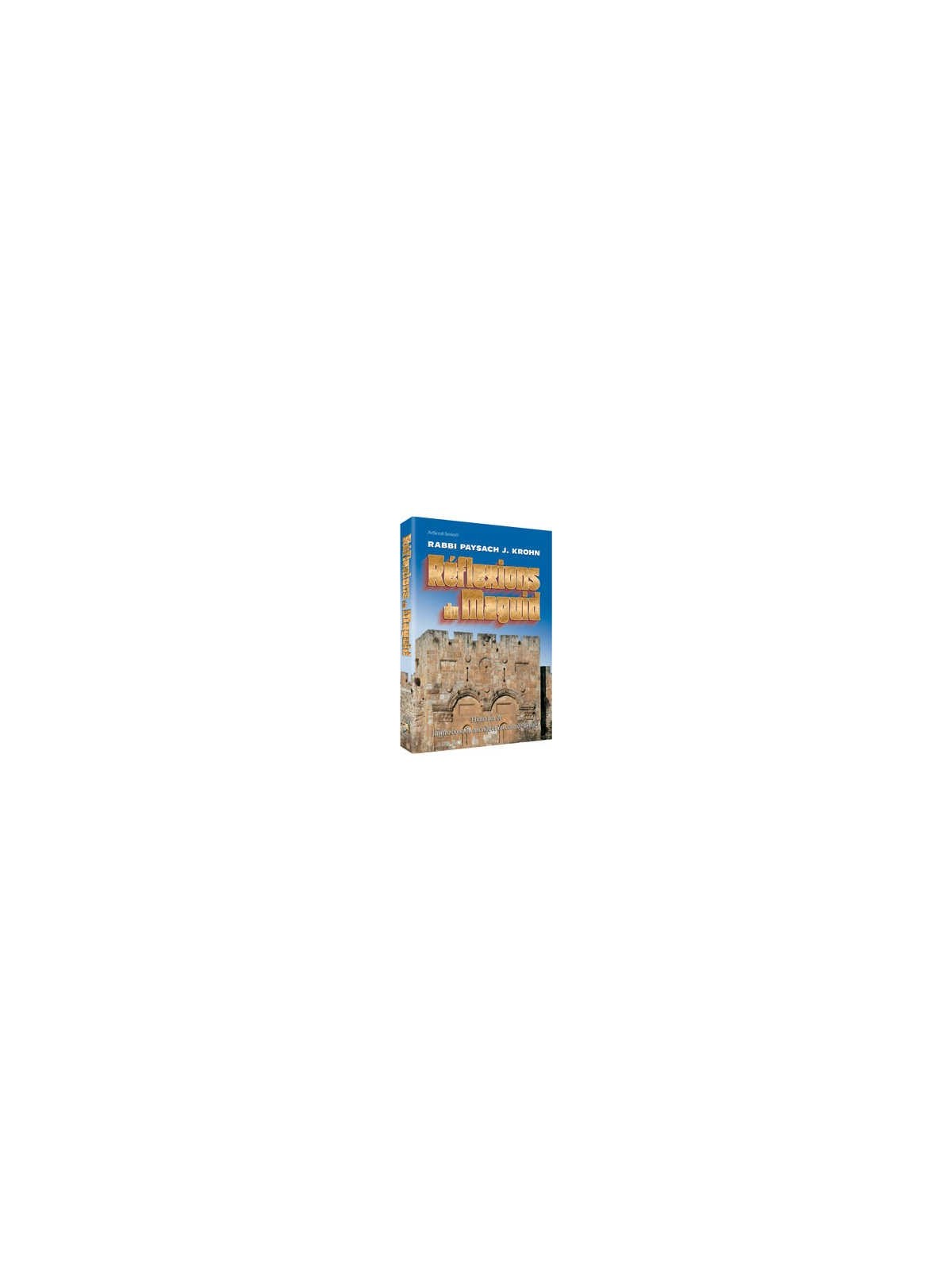 Reflections of the Maggid - French Edition | Books | Judaica