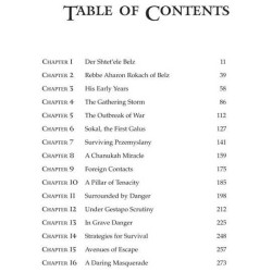 Rescuing the Rebbe of Belz - Hardcover | Books | Judaica