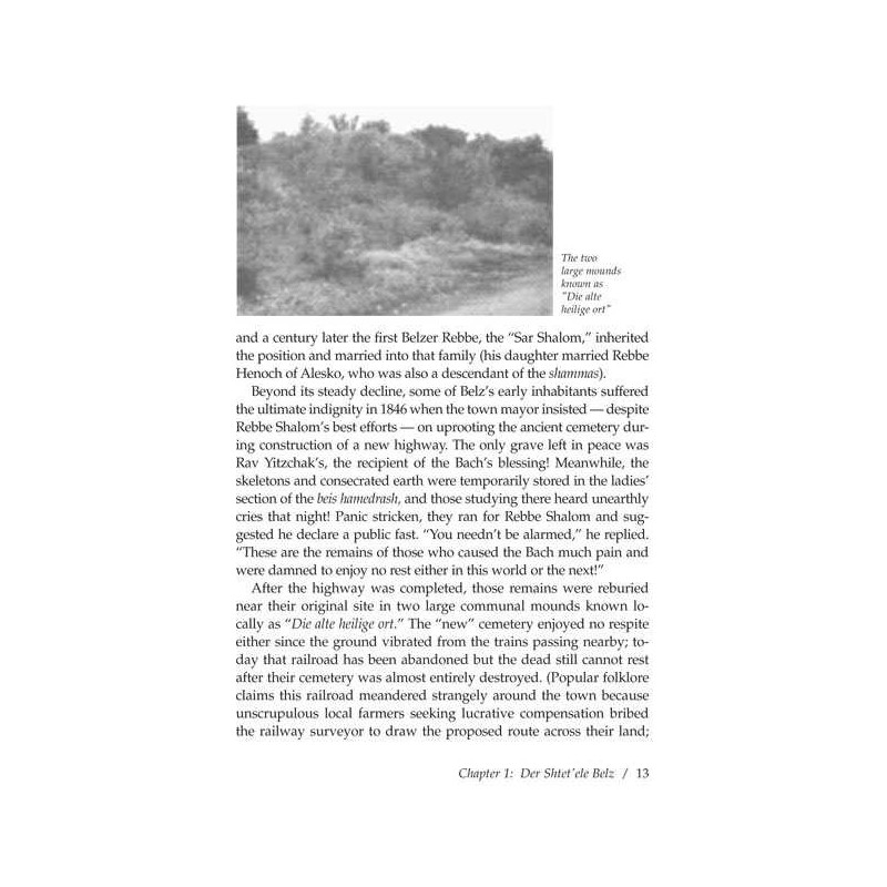 Rescuing the Rebbe of Belz - Hardcover | Books | Judaica