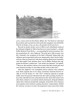 Rescuing the Rebbe of Belz - Hardcover | Books | Judaica