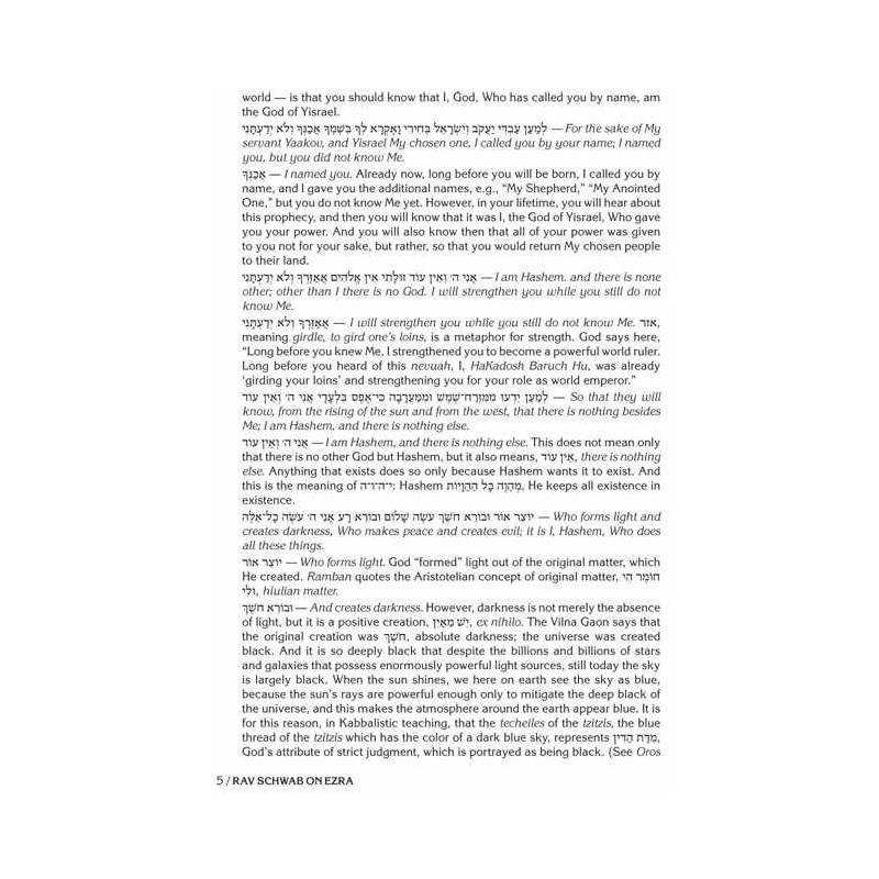 Rav Schwab on Ezra and Nechemiah | Books | Judaica