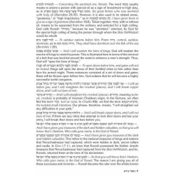 Rav Schwab on Ezra and Nechemiah | Books | Judaica