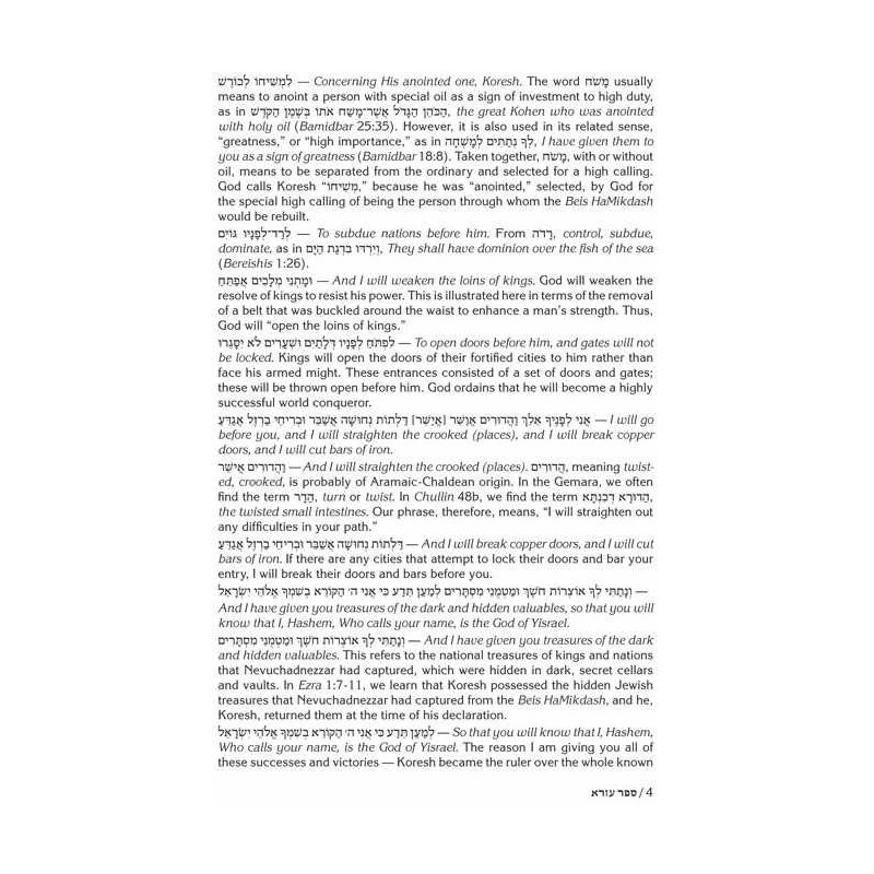Rav Schwab on Ezra and Nechemiah | Books | Judaica